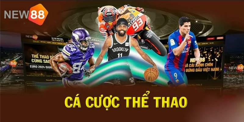 Thể thao trực tuyến chất lượng